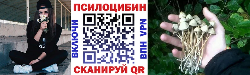 Купить  Черепаново  Псилоцибиновые грибы мицелий 